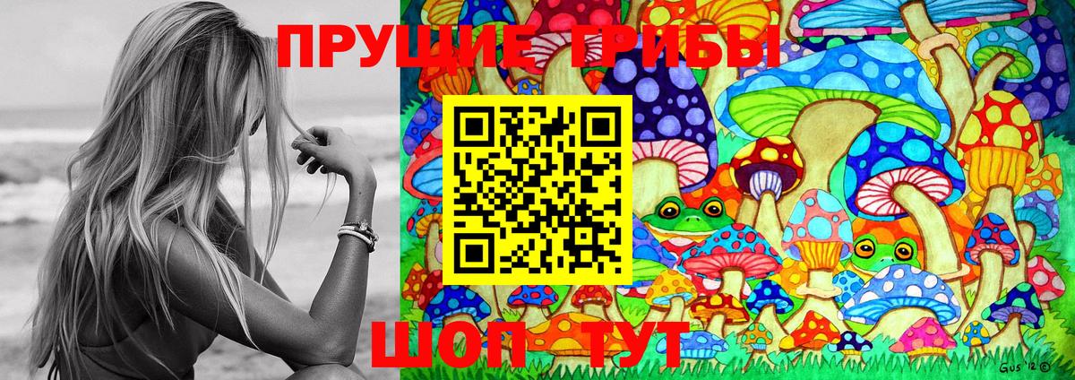 Псилоцибиновые грибы Cubensis  Урюпинск 