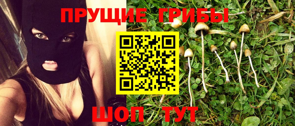 Псилоцибиновые грибы Psilocybine cubensis Урюпинск