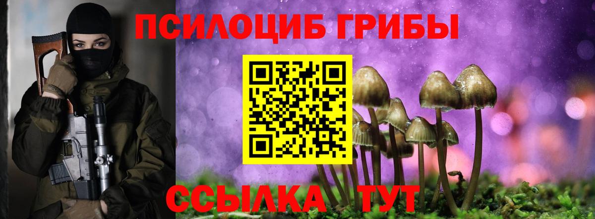 Урюпинск  Галлюциногенные грибы мицелий  Вход с VPN 